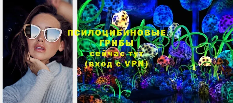 купить наркотик  Кашин  hydra вход  Галлюциногенные грибы мицелий 